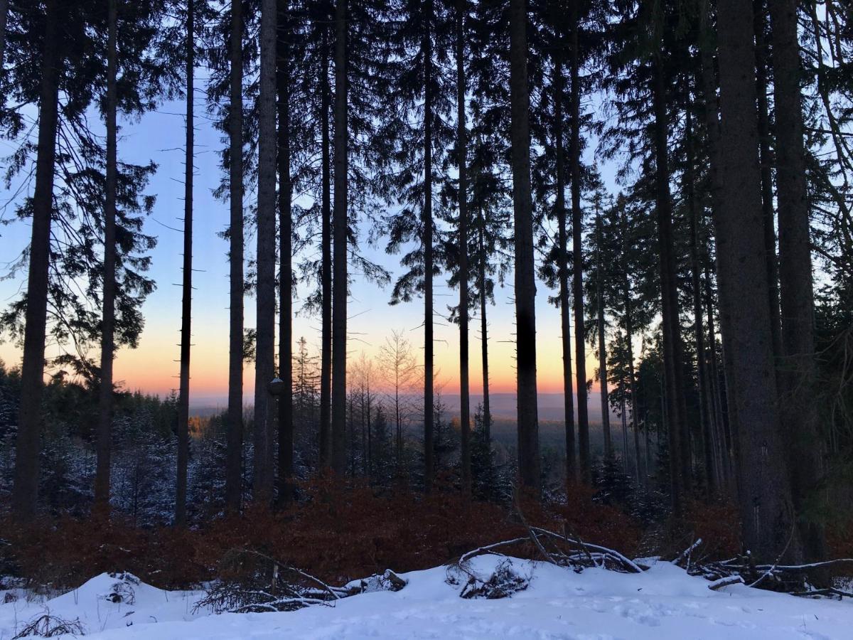 Fewo Harzromantik Braunlage Extérieur photo