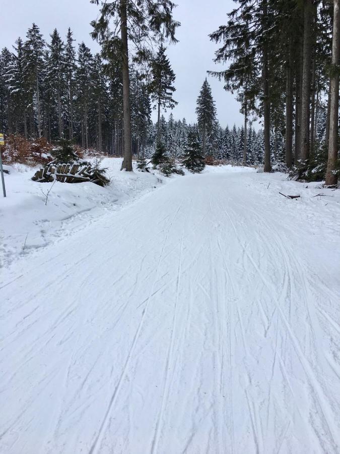 Fewo Harzromantik Braunlage Extérieur photo